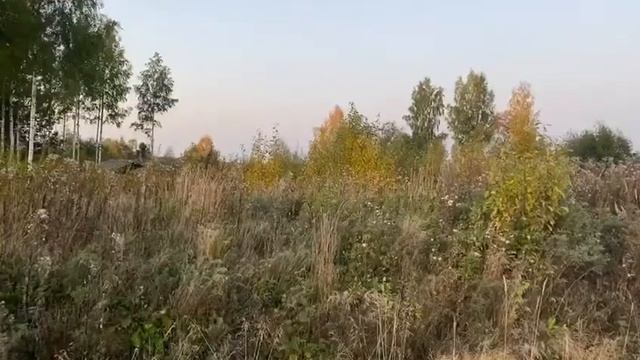 Земельные участки СНТ около Петрозаводска смотреть онлайн