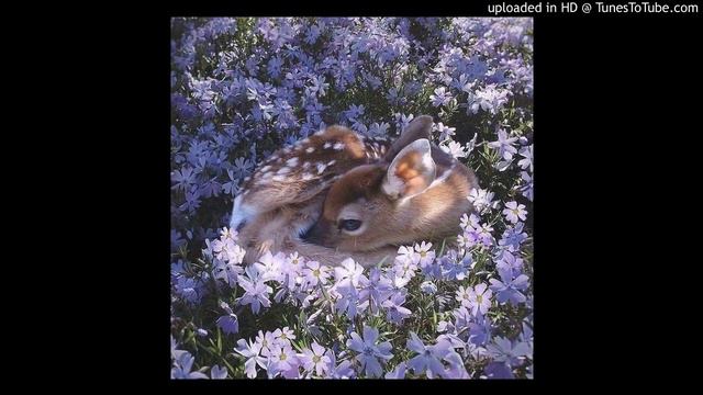 *FREE* LUCKI TYPE BEAT "sup" (PROD. ERNIE B) смотреть онлайн