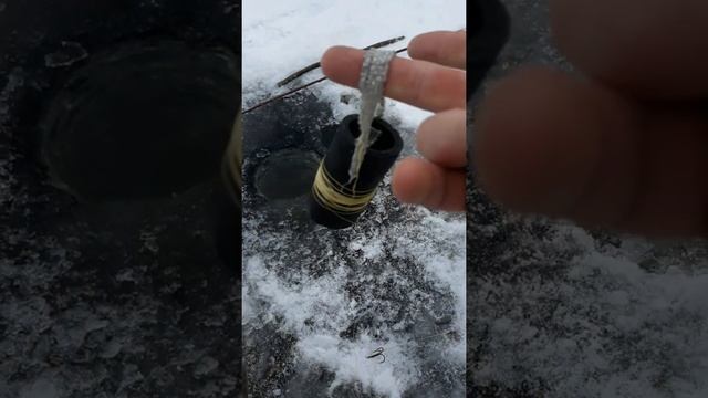 Жерлицы на налима смотреть онлайн