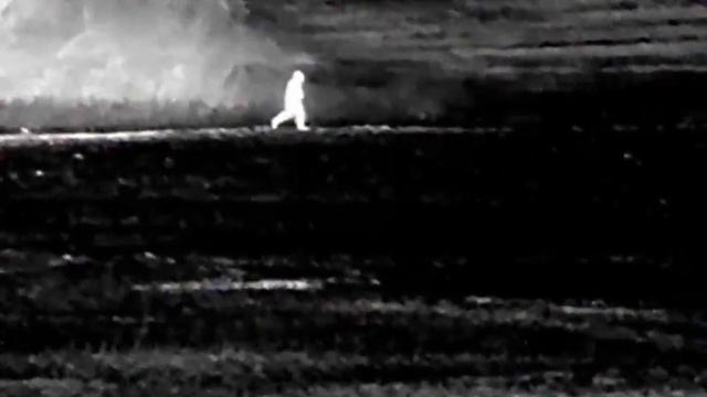 Night hunting with the Infiray E6Pro V3 смотреть онлайн