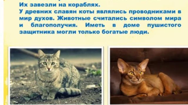 Презентация "День кошек" смотреть онлайн
