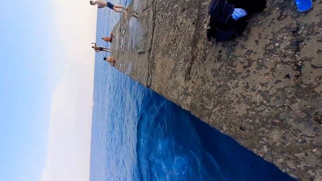 Сальтуха https://m.vk.com/feed смотреть онлайн