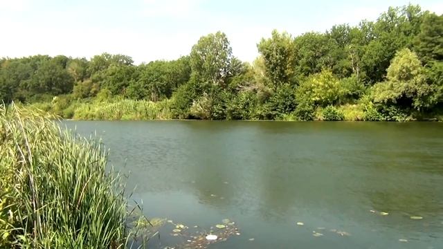 Прекрасная река Медведица! смотреть онлайн