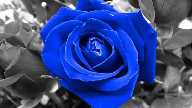 SAXOPHONE-СБОРНИК КРАСИВОЙ МУЗЫКИ ДЛЯ ДУШИ смотреть онлайн