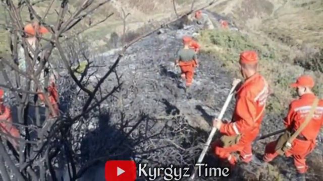 СРОЧНО!АСЕЛДИН АПАСЫ КАЙРЫЛУУ ЖАСАДЫ!ДОКТОР;АСЕЛДИ СУРАП УБАКТЫБЫЗДЫ АЛБАГЫЛА👇 смотреть онлайн