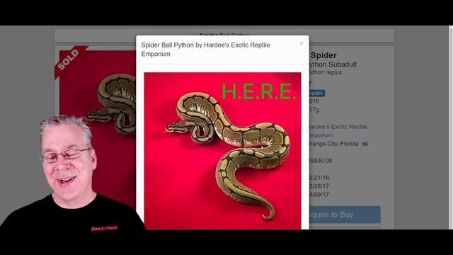 The Amazing Power of the Nuclear Ball Python смотреть онлайн