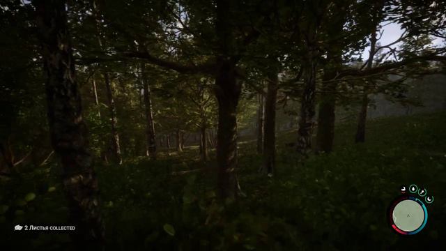 Дети леса Новое начало, просто новая игра ничего больше смотреть онлайн