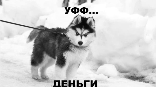 Песня Уфф Деньги смотреть онлайн