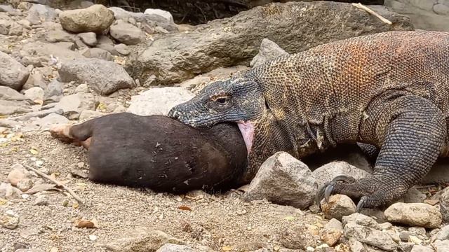 until something comes out😱 смотреть онлайн