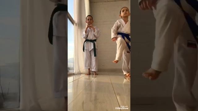 Домашние тренировки на карантине #сидимдома #таэквондо #тхеквондо #бокс #тренировка #онлайн смотреть онлайн