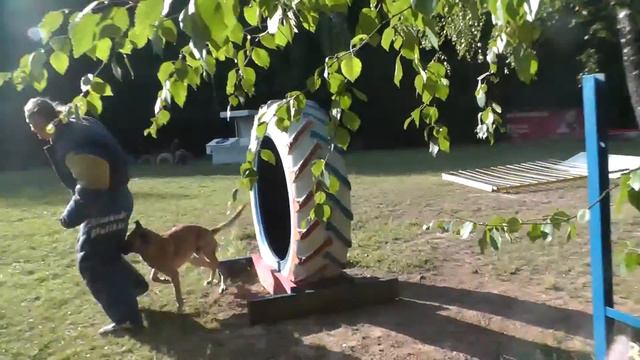 Селектив фигурантов мондьоринга. смотреть онлайн