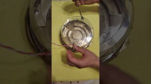 Супер кормушка для птиц своими руками из коробки торта