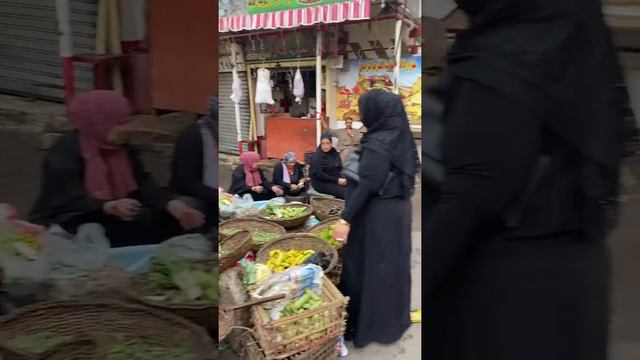 Гуляем по Каиру: мумии, трущобы и рынки | Путешествия без багажа смотреть онлайн