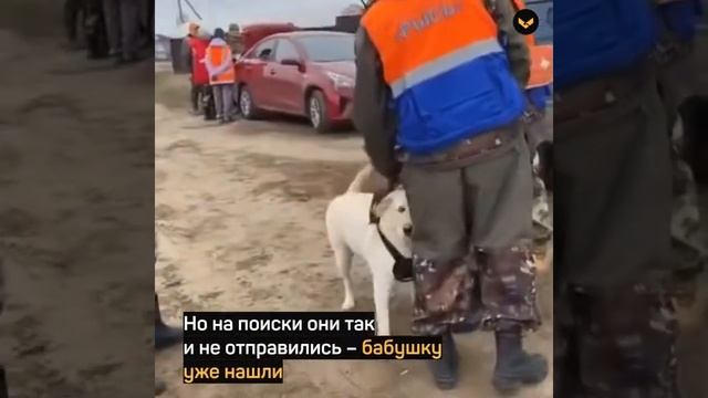 В Мордовии пес Умка три дня согревал потерявшуюся в поле хозяйку смотреть онлайн