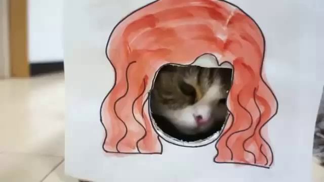 прически для кота смотреть онлайн