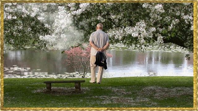 Я разлюбить тебя не смог смотреть онлайн