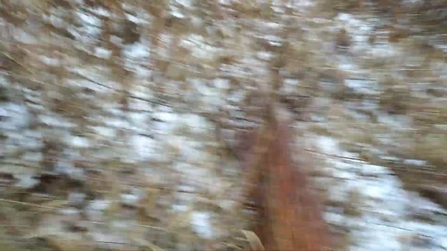 Самое лучшее время для заготовки ивового прута для плетения в осенне-зимний период смотреть онлайн