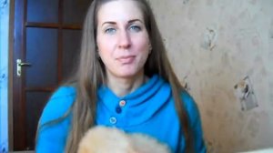 Отличие померанского и немецкого шпица