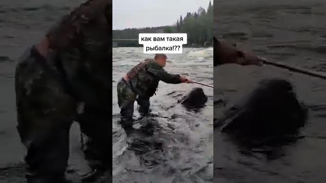 ВОТ ТАК ПОЙМАЕТ РЫБАЛКУ РОССИИ 😱 смотреть онлайн