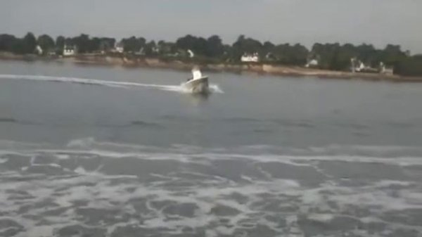 ProMarine - Belone 550 Pack Confort