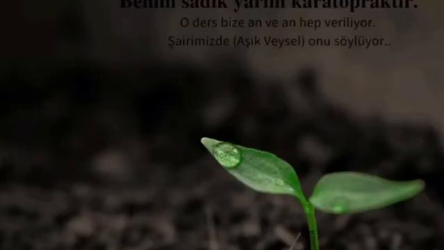 Benim Sadık Yarim Kara Topraktır #aşıkveysel #benimsadıkyarimkaratopraktır #hayatiinanç #karatoprak смотреть онлайн