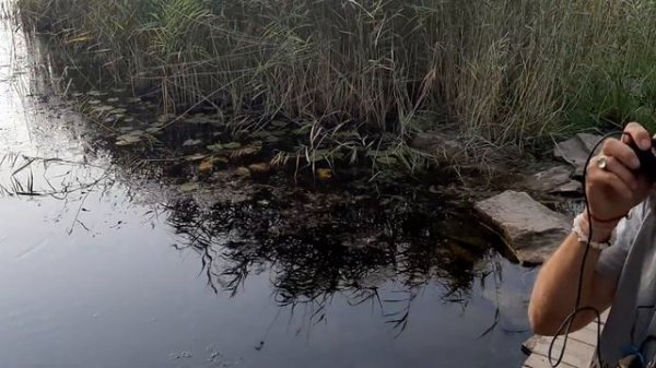 Электроварган на берегу Караганки. Открытие звука