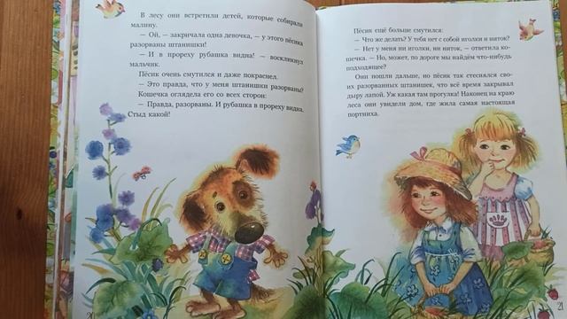 Приключения Пёсика и Кошечки. В лесу. Йозеф Чапек