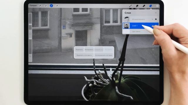 Уроки Procreate. Обработка фото. Выделение