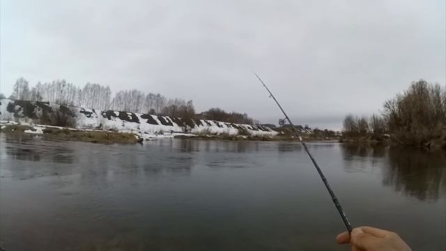 Голавль в начале апреля|| На что клюет голавль весной| Crazy Fish Arion 702 смотреть онлайн