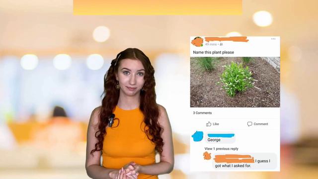 прокачиваем АНГЛИЙСКИЙ с МЕМАМИ с игрой слов (А2) смотреть онлайн