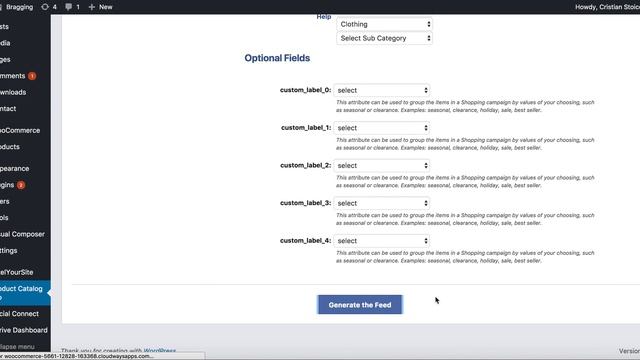 WooCommerce: Facebook Product Catalog for Dynamic Product Ads смотреть онлайн