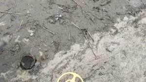 Прошлись по обмелевшему Северскому Донцу с металлоискателем