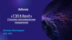ТЭП в Ревит