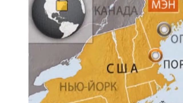 4 лапи кіт та собака смотреть онлайн