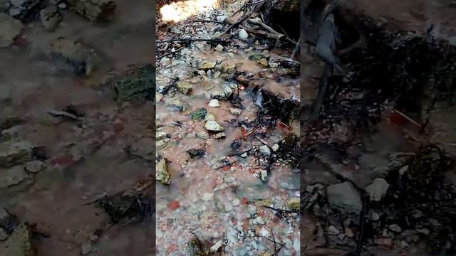 Звуки природы. Журчание ручья смотреть онлайн