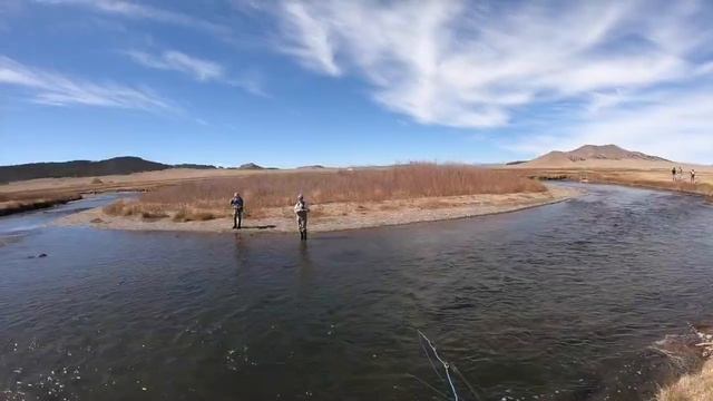 Amazing Kokanee Salmon Action At The Dream Stream Mid Oct Platte River How To Salmon Dream Stream