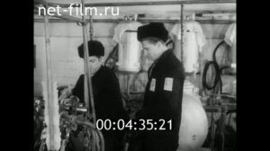1977г. Бежецкий район. станция технического обслуживания механизмов животноводческих ферм