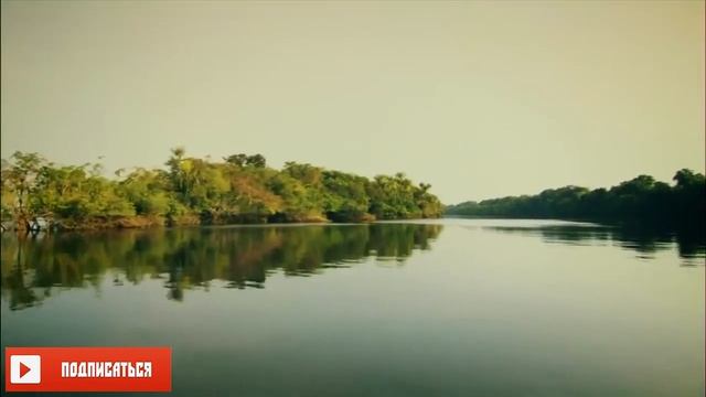 Амазонка плавающий лес Неизведанные острова смотреть онлайн