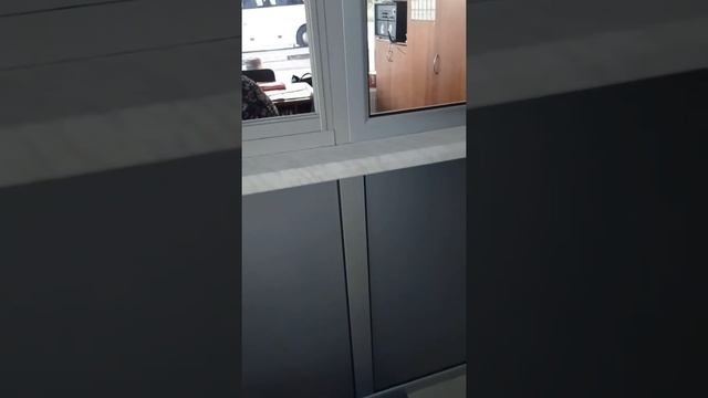 Как на автостанции номер 6 г. Харькова нарушают права человека Конституционные, отказ в льготном УБ смотреть онлайн
