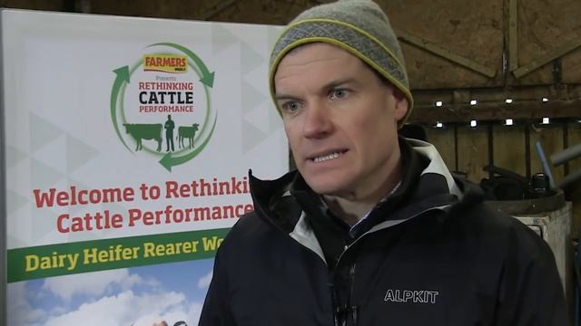 Using a refractometer to test colostrum quality смотреть онлайн