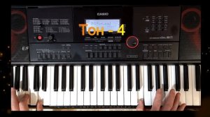 Демонстрация универсального стиля Ласковый май LM. Стиль для синтезатора Casio CT-X3000-5000,700,80