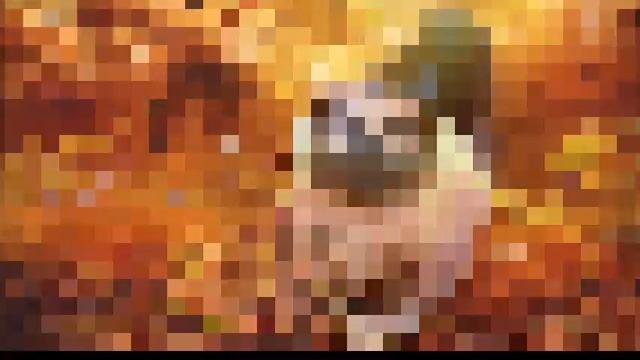 ???Осеннее настроение - краски природы смотреть онлайн