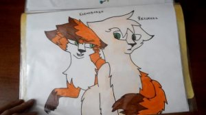 Мои рисунки котов воителей #3