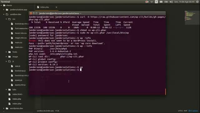 instalaçao WP-CLI смотреть онлайн