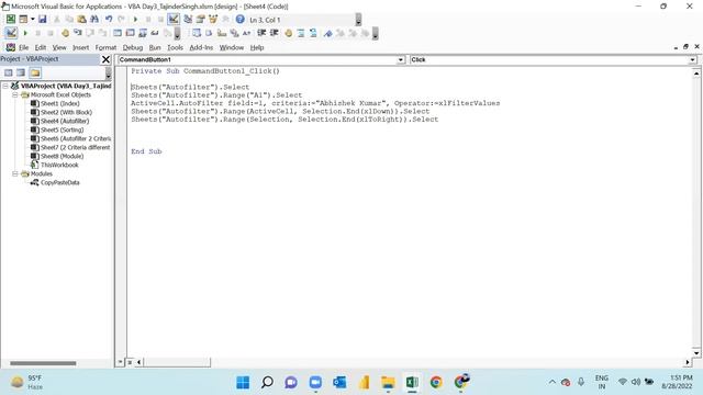 VBA - Day3 Basic Class Tutorial: AutoFilter, AutoSorting смотреть онлайн