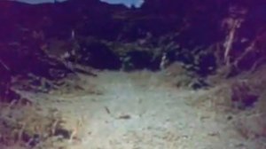 ВЕСТЕРН.Супермен,актер ГОЙКО МИТИЧ в ФИЛЬМЕ про индейцев.Индейцы покинули РЕЗЕРВАЦИЮ.