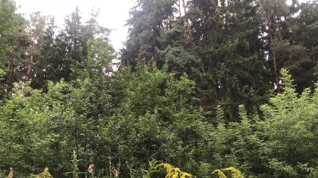 МУЖ ИЗЯЩНО ОТОМСТИЛ ЗА ПРЕДАТЕЛЬСТВО. Реальные истории из жизни. Интересные любовные аудио рассказы