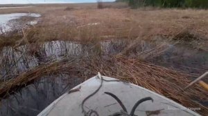 Прогресс 4 мотор болотоход Лончин 25