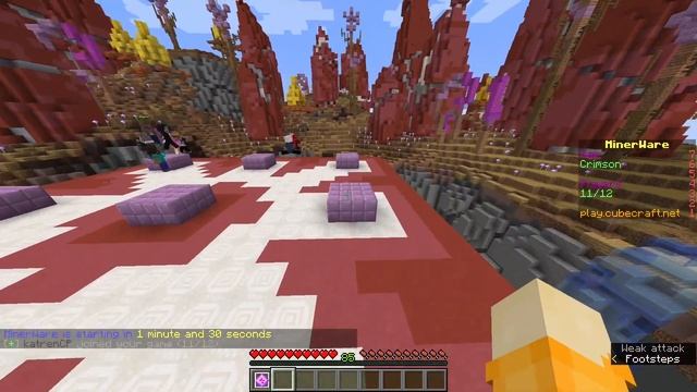 Minerware on hard mode... | Java Minecraft Server смотреть онлайн