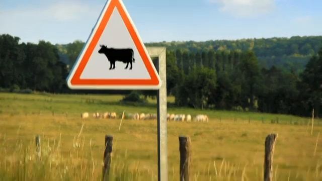 Букашки 12 серия бешеная муха. смотреть онлайн